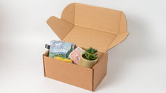 Green Gift Box