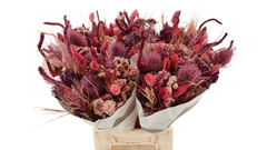 Fuchsia Αποξηραμένο μπουκέτο