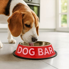 FISURA PET FOOD & WATER BOWL 2pcs DOG BAR