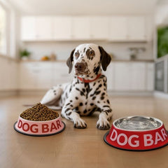 FISURA PET FOOD & WATER BOWL 2pcs DOG BAR