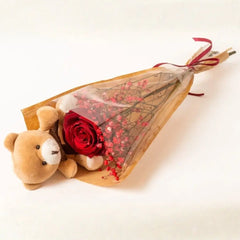Bear Hug Rose