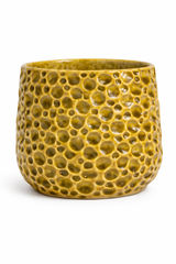 Κεραμικό Κασπώ Textured Olive Green