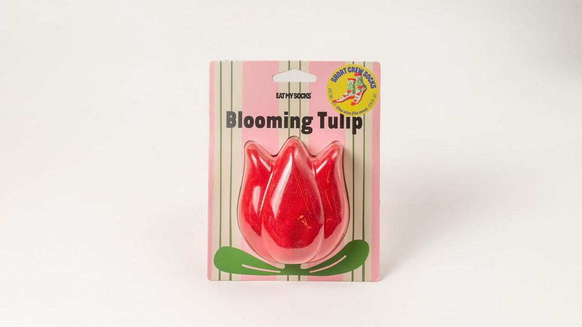 Blooming Tulip