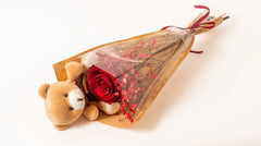 Bear Hug Rose