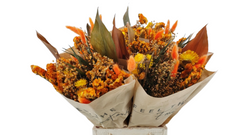 Orange Bouquet