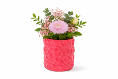 Pink Touch σε Coral Ανάγλυφο Κασπώ